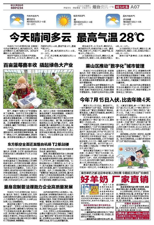 烟台日报电子报刊的数字化创新与发展